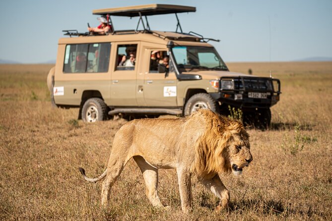  What should I pack for a 10-day Kenya wildlife safari?